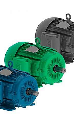 Motores elétricos de indução trifásico Motores elétricos de indução trifásico